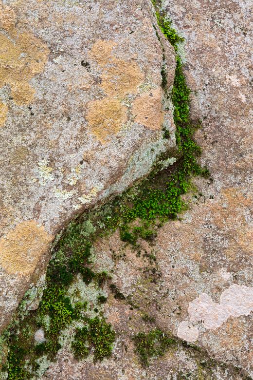 Free stock image of Yin Yang Moss Stone - HDR created by Nicolas Raymond
