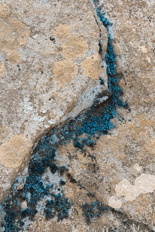 Free stock image of Winter Moss Stone - HDR created by Nicolas Raymond
