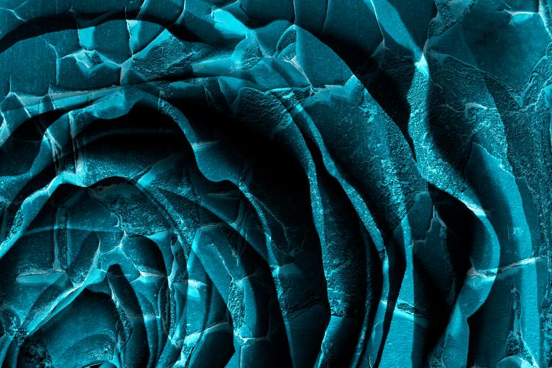 Free stock image of Nuclear Winter Rose created by Nicolas Raymond