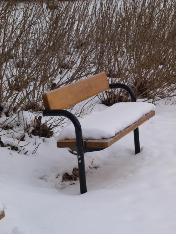 Free stock image of Park bench with snow created by Marko Mäkinen