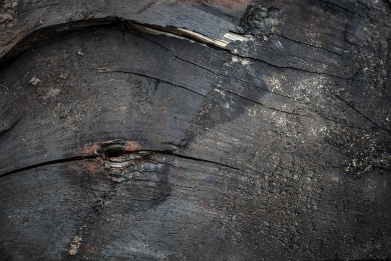 Free stock image of Rotten Wood Texture created by Free Texture Friday