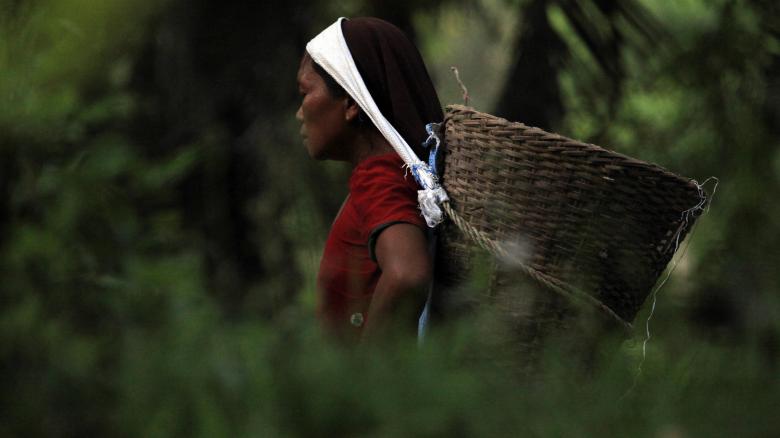 Free stock image of African Worker created by Unsplash