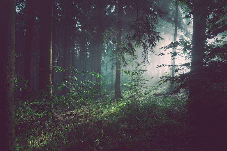 Free stock image of Ray of Hope created by Unsplash