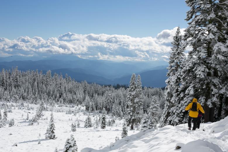 Free stock image of A winter journey created by Unsplash