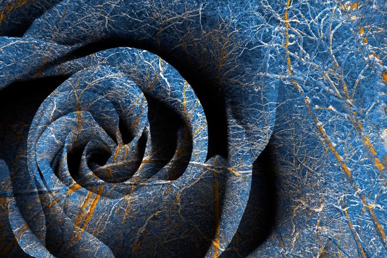 Free stock image of Susquehanna Winter Rose created by Nicolas Raymond
