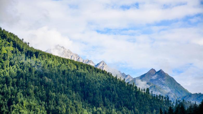 Free stock image of Nature created by Unsplash