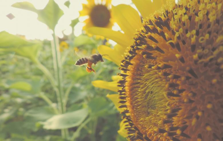 Free stock image of The Story created by Unsplash