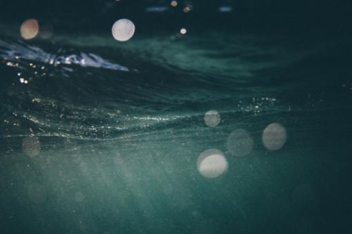 Free Stock Photo of Under Water