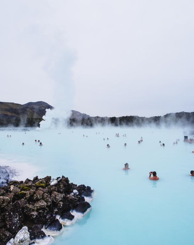 Free stock image of Up for a swim? created by Unsplash