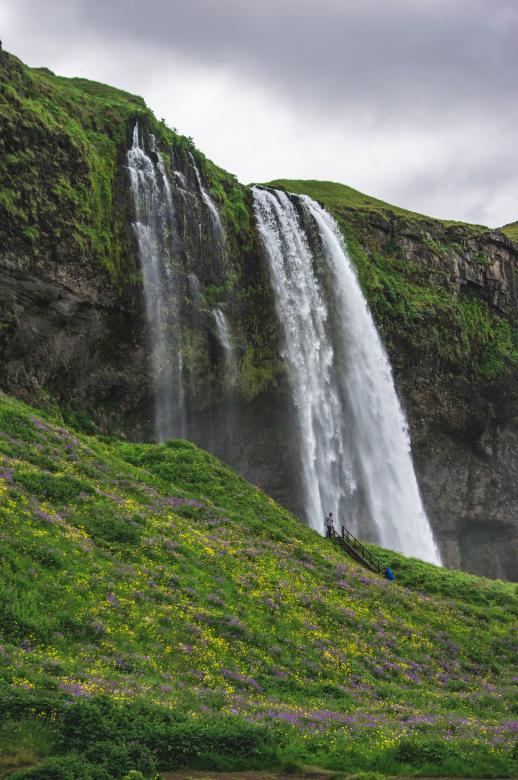 Free stock image of Lush Waterfall created by Unsplash