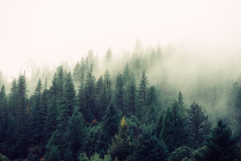 Free stock image of Cloudy and Foggy created by Unsplash