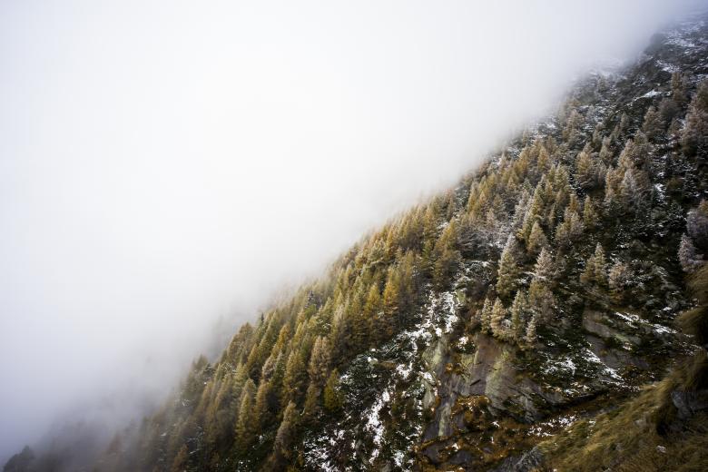 Free stock image of Mountain fog created by Unsplash