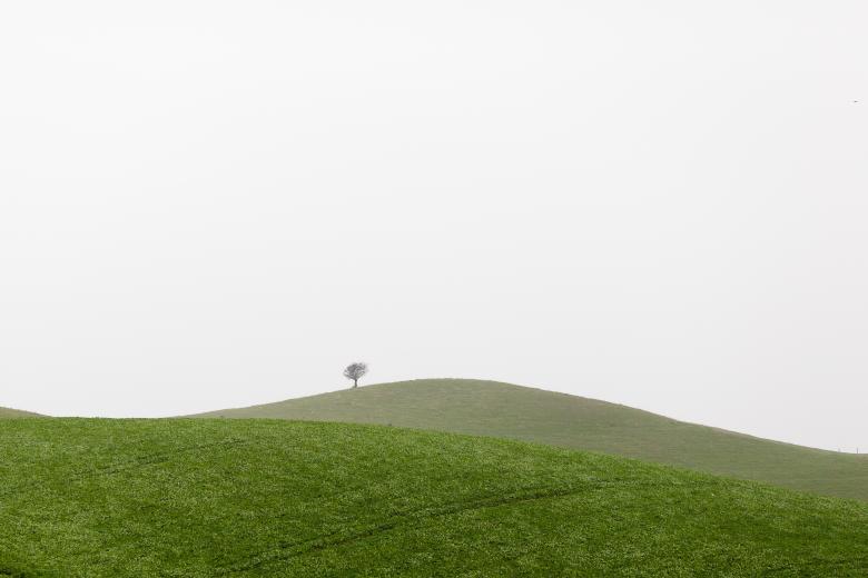 Free stock image of Last One created by Unsplash