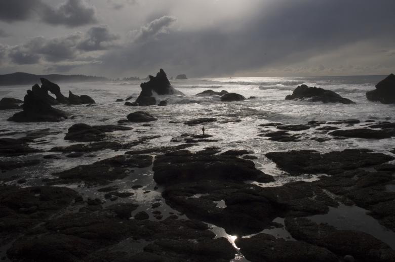 Free stock image of Surrounded created by Unsplash