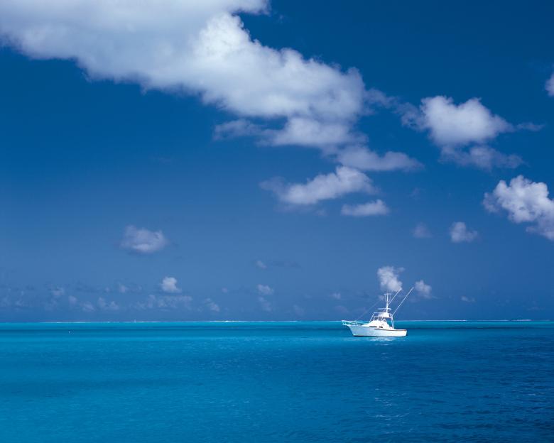 Free stock image of Chill created by Unsplash