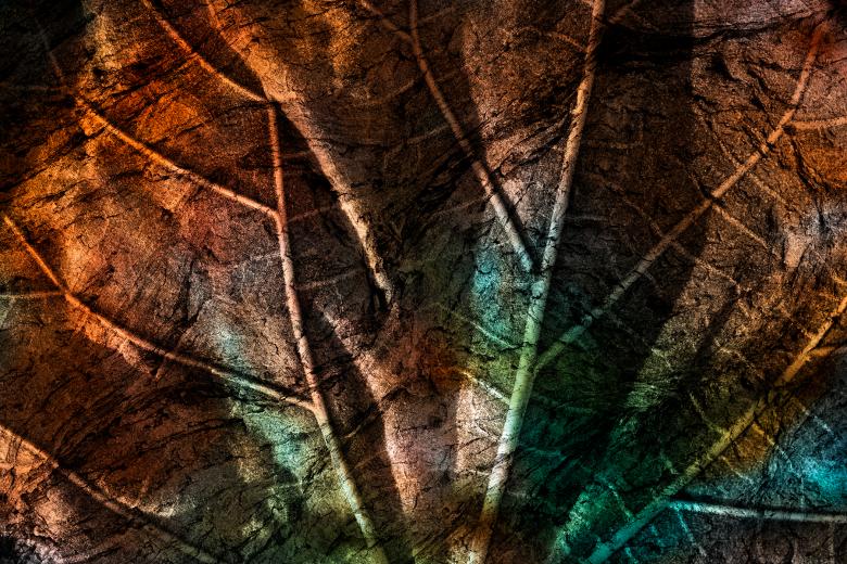 Free stock image of Leaking Luster Leaf - Cracked Decay created by Nicolas Raymond