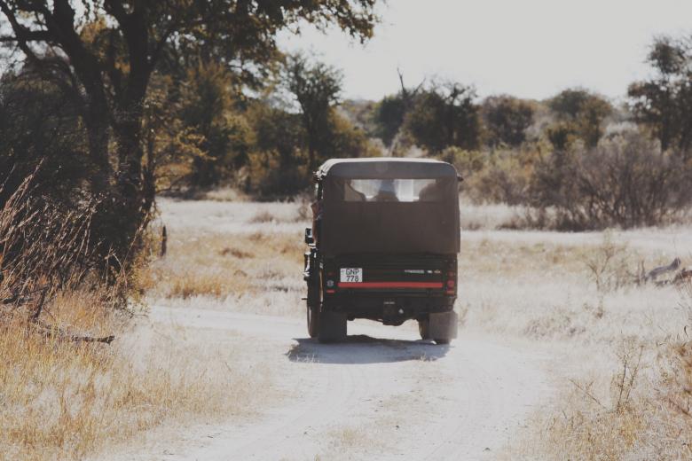 Free stock image of Safari created by Unsplash