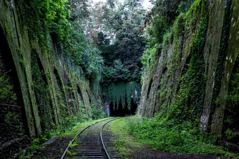 Free stock image of Green created by Unsplash