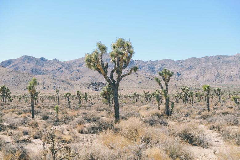 Free stock image of Territory created by Unsplash
