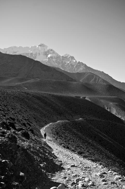 Free stock image of Walking Alone created by Unsplash