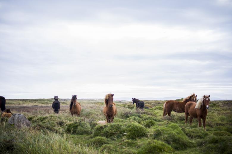 Free stock image of Group created by Unsplash