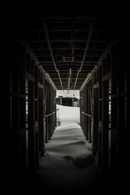 Free stock image of Support created by Unsplash