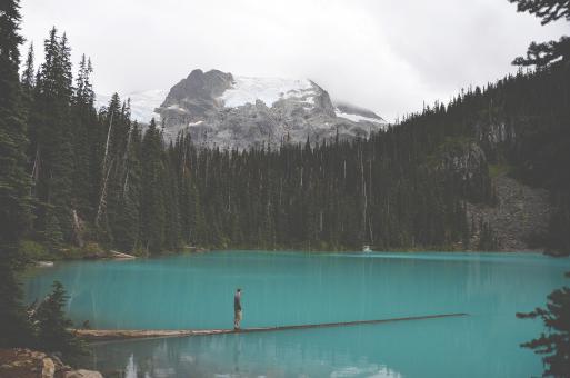 Lake - Free Stock Photo