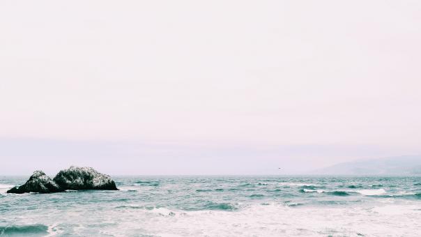 Free Stock Photo of Nature