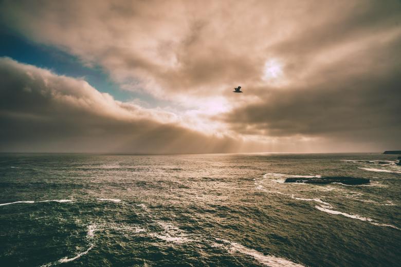 Free stock image of No Worries created by Unsplash