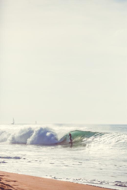 Free stock image of Hide created by Unsplash