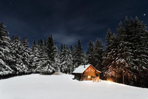 Alone in the Woods - Free Stock Photo