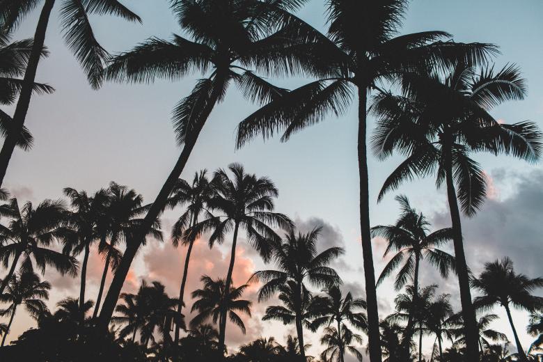 Free stock image of Dates created by Unsplash