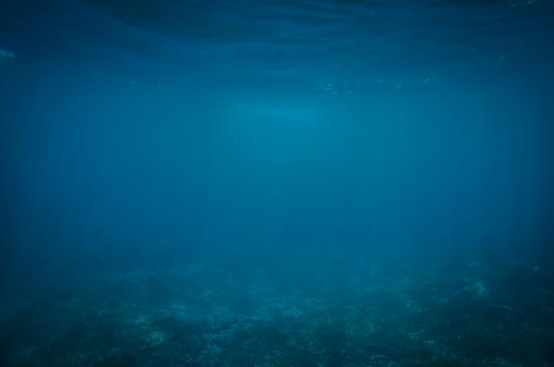 Free stock image of Underwater created by Unsplash