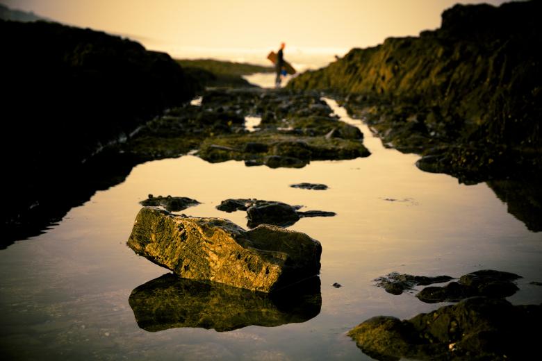 Free stock image of Surfer created by Unsplash