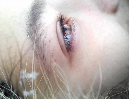 Up close - Free Stock Photo