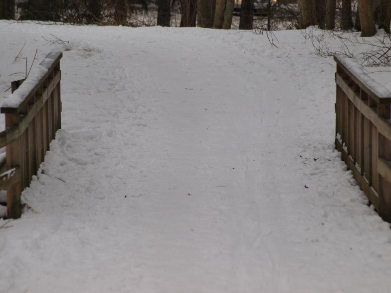 Free stock image of Park at winter created by Marko Mäkinen