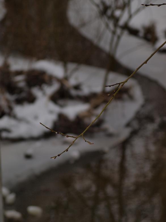 Free stock image of Park at winter created by Marko Mäkinen