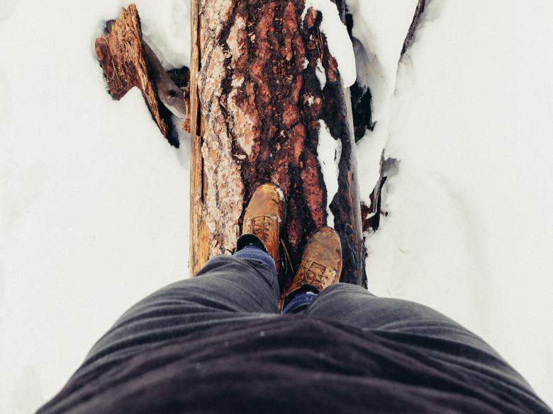 Free stock image of The Stand created by Unsplash