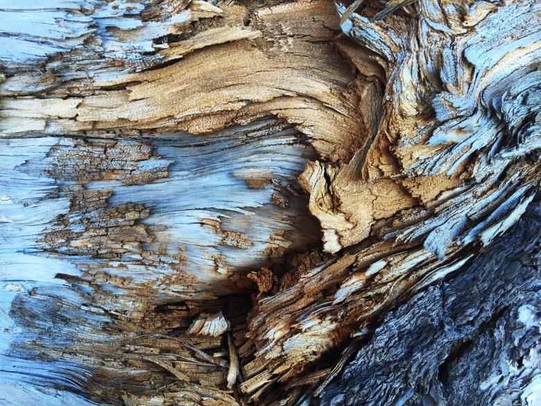 Free stock image of Old Wood created by Unsplash