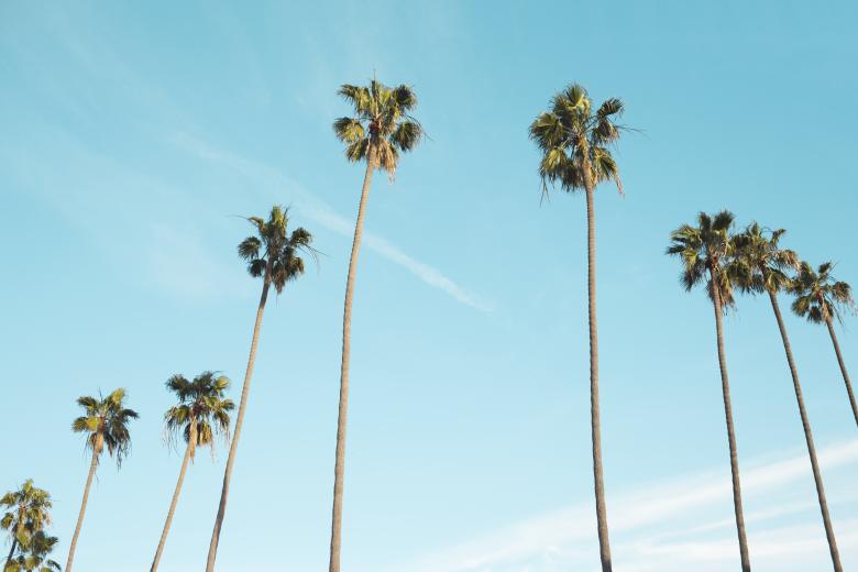 Free stock image of Dates created by Unsplash