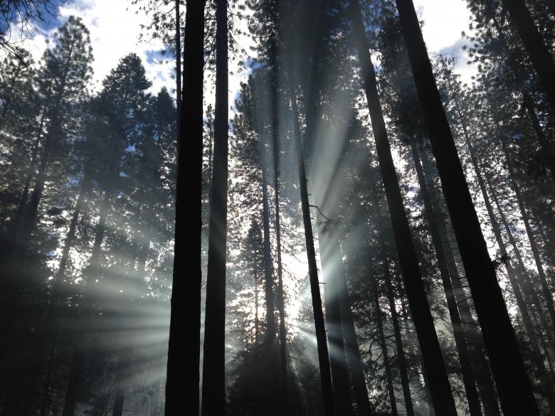 Free stock image of Rays of light created by Unsplash