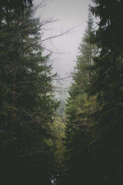 Free stock image of Thick created by Unsplash