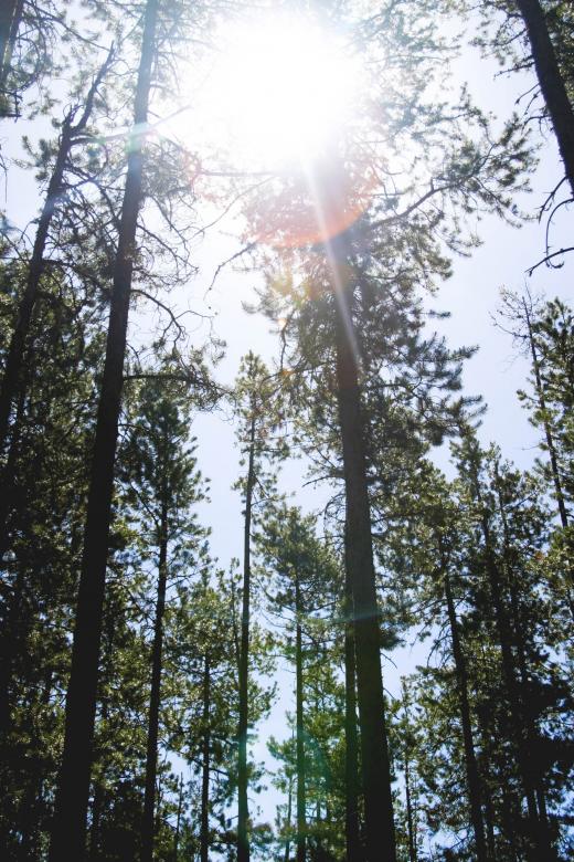 Free stock image of Sunlight created by Unsplash
