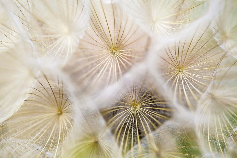 Free stock image of Net created by Unsplash