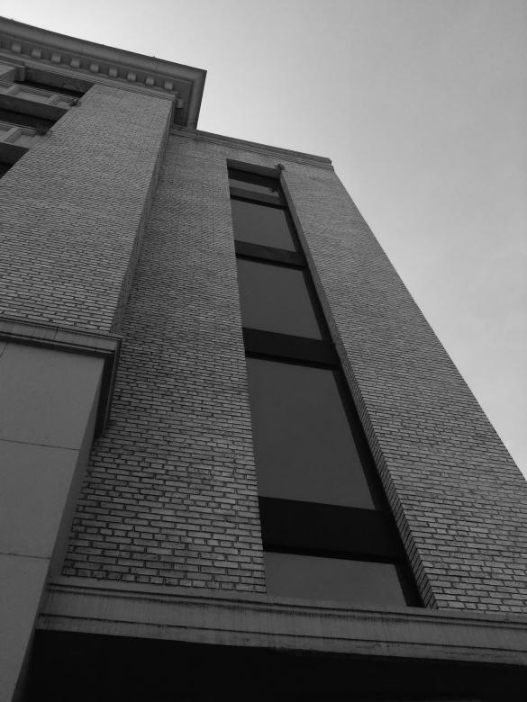 Free stock image of Office Building Windows created by MAKAKIKUS