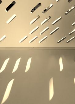 Light of the Sun - Free Stock Photo