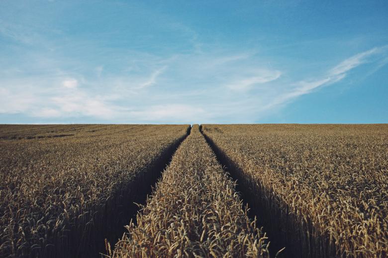 Free stock image of Field created by Unsplash