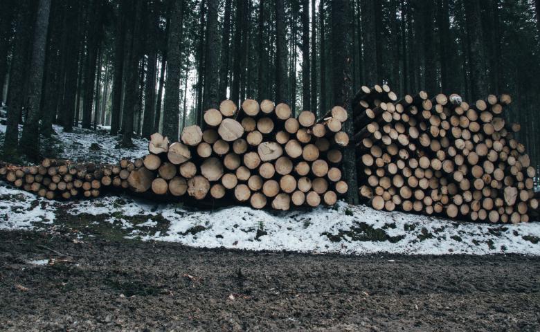 Free stock image of Wooden Logs created by Unsplash