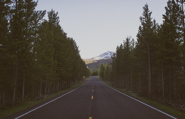 Free stock image of Road through the woods created by Unsplash