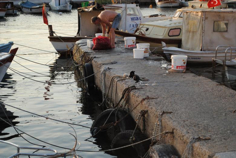 Free stock image of Boat Stand created by Bee 